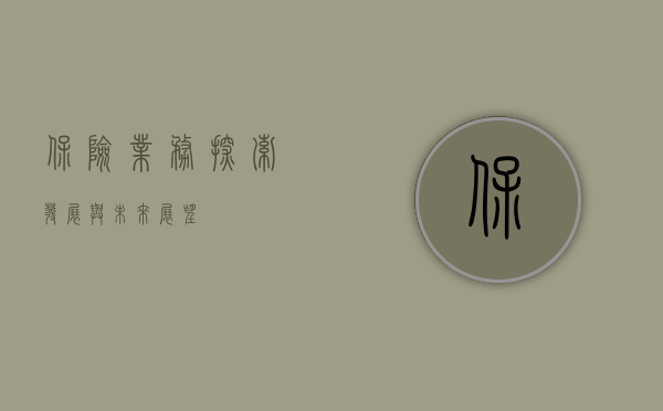 保险业务，探索、发展与未来展望