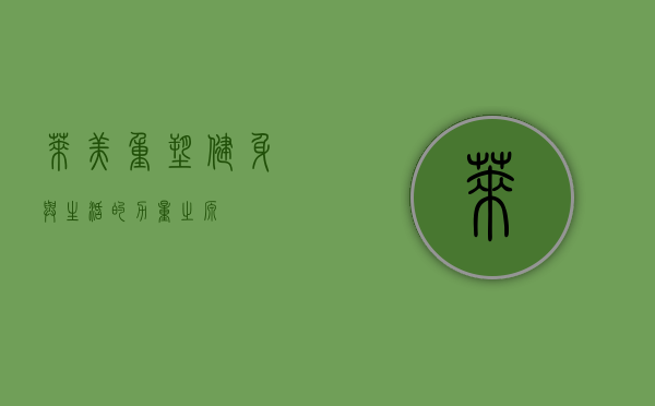 莱美，重塑健身与生活的力量之源