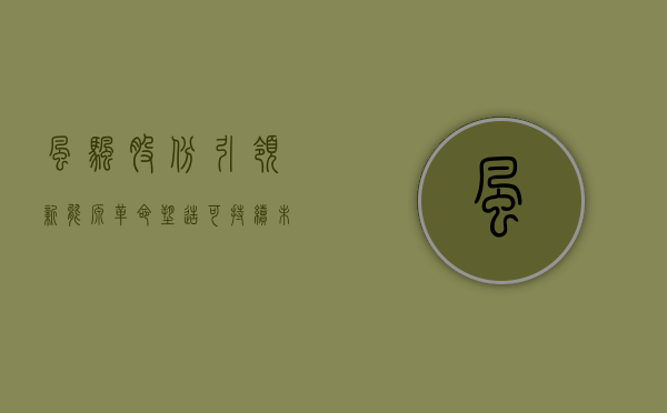 风帆股份，引领新能源革命，塑造可持续未来