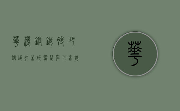 华菱钢铁股吧，钢铁行业的翘楚与投资热点