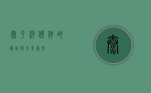 太平洋软件的崛起与未来展望