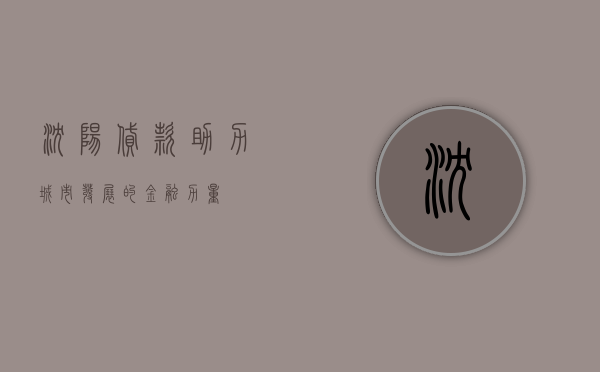 沈阳贷款，助力城市发展的金融力量