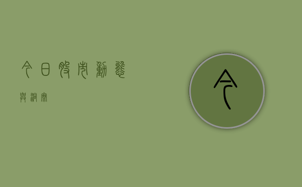 今日股市动态与洞察