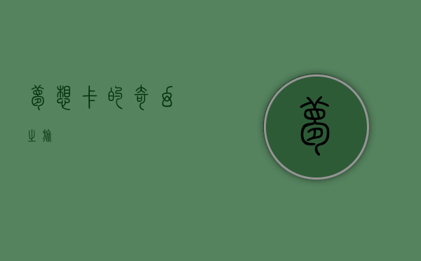 梦想卡的奇幻之旅