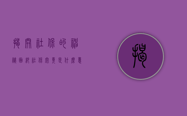 揭开社保的神秘面纱，社保究竟是什么意思？