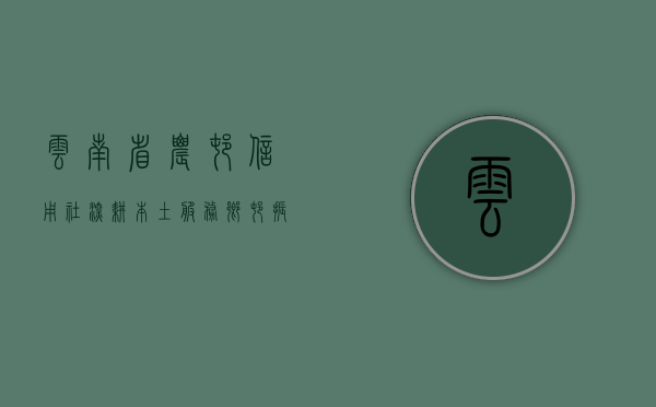 云南省农村信用社，深耕本土，服务乡村振兴