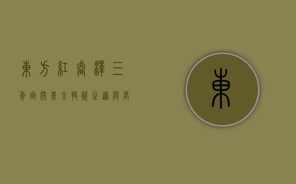东方红睿泽三年定开基金，投资策略与长期价值解析