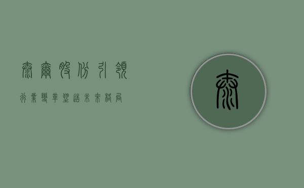 泰尔股份，引领行业变革，塑造未来格局