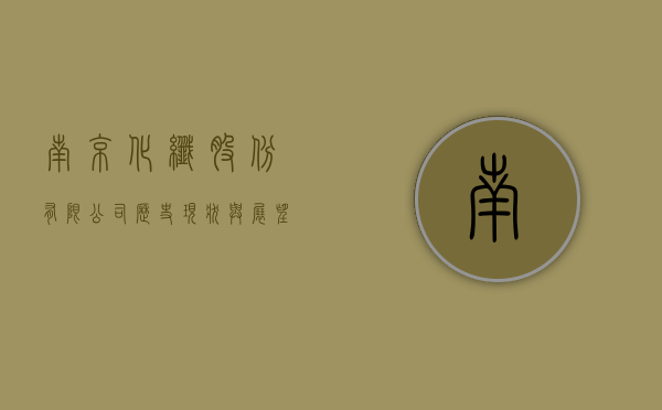 南京化纤股份有限公司，历史、现状与展望