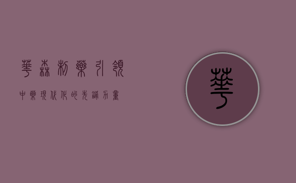 华森制药,引领中药现代化的先锋力量
