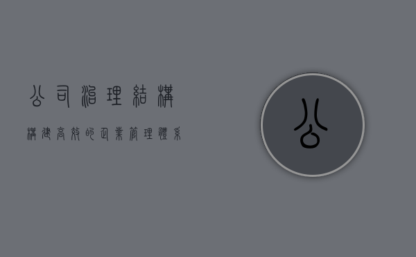 公司治理结构，构建高效的企业管理体系