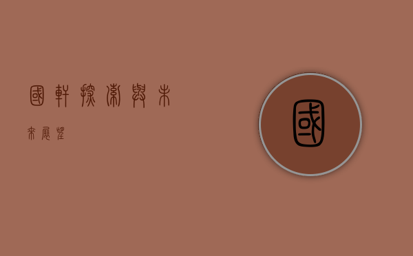 国轩，探索与未来展望
