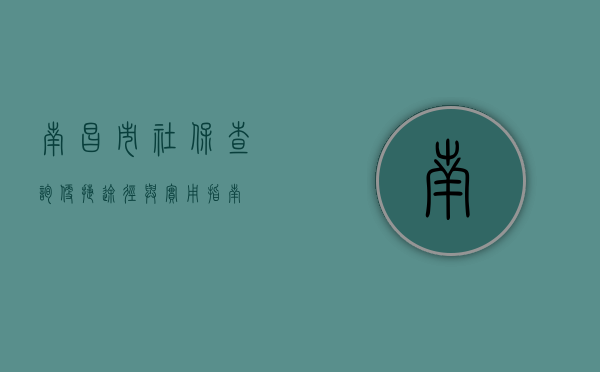 南昌市社保查询，便捷途径与实用指南