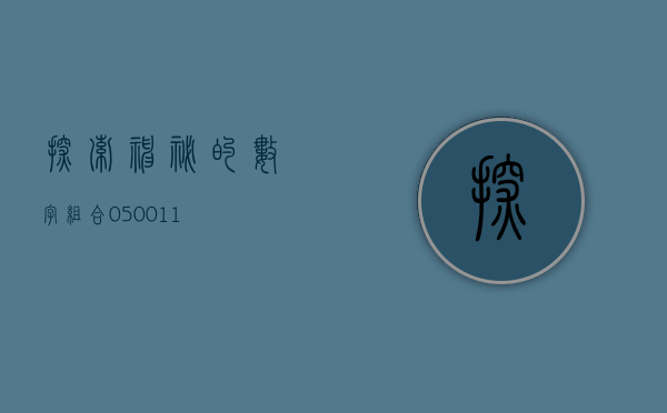 探索神秘的数字组合，050011