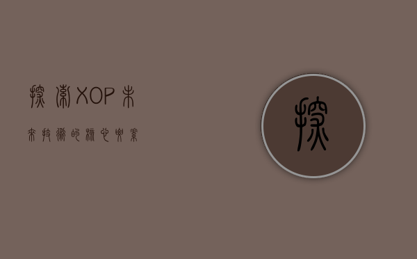 探索XOP，未来技术的核心要素