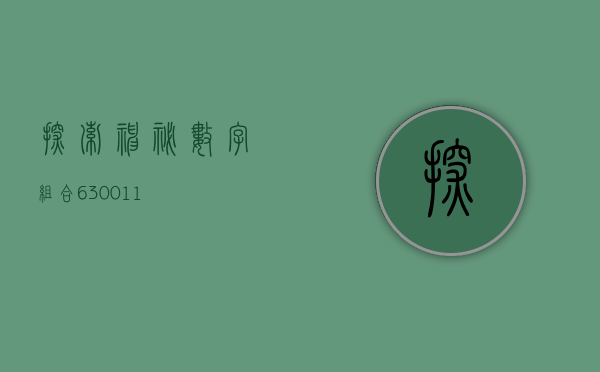 探索神秘数字组合，630011