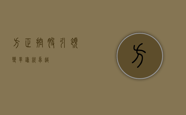 方正控股，引领变革，铸就卓越