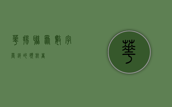 华扬联众，数字营销的领航者