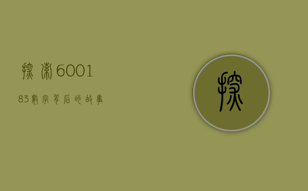 探索600183，数字背后的故事