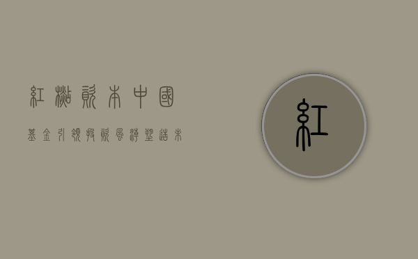 红杉资本中国基金,引领投资风潮,塑造未来蓝图