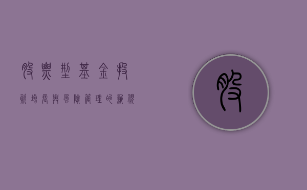 股票型基金，投资增长与风险管理的新视角