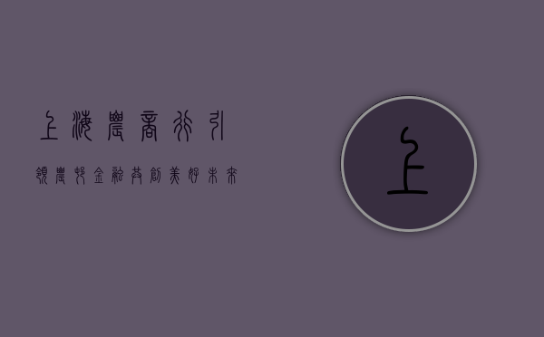 上海农商行，引领农村金融，共创美好未来