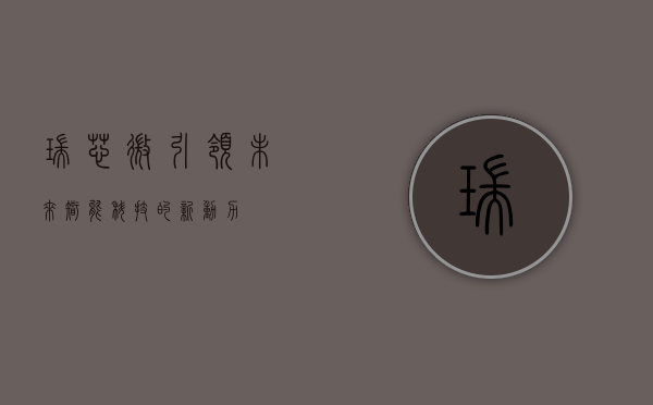瑞芯微，引领未来智能科技的新动力