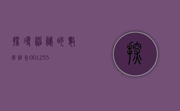 探寻神秘的数字组合—001255