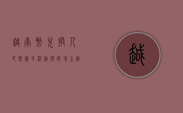 越南币兑换人民币,汇率波动与跨境金融的探讨