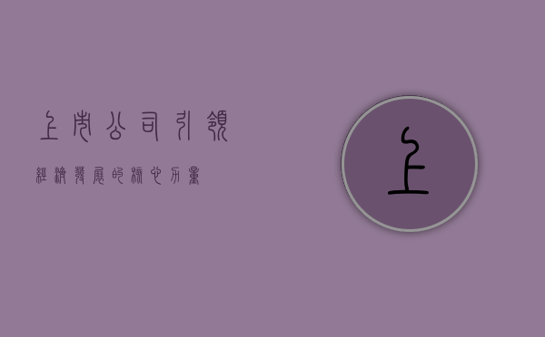 上市公司，引领经济发展的核心力量