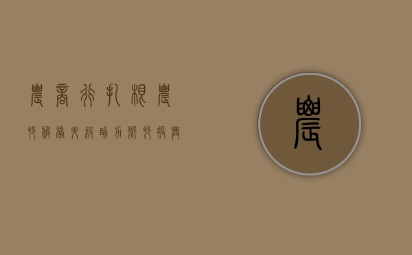 农商行，扎根农村，服务升级，助力乡村振兴