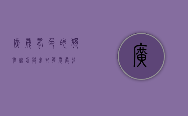 广晟有色的独特魅力与未来发展展望