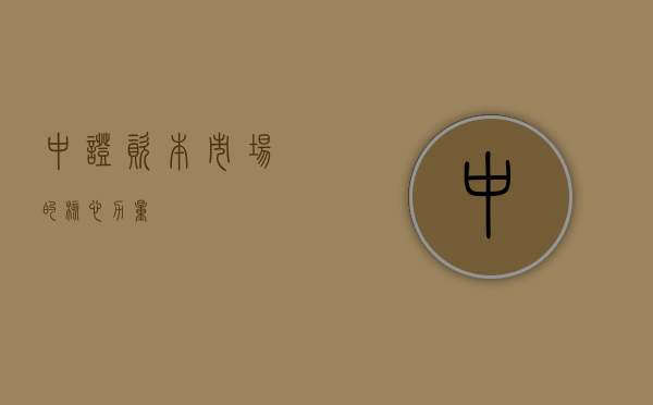 中证，资本市场的核心力量