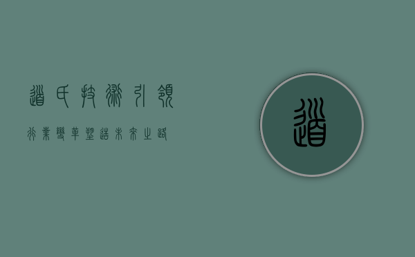 道氏技术,引领行业变革,塑造未来之路