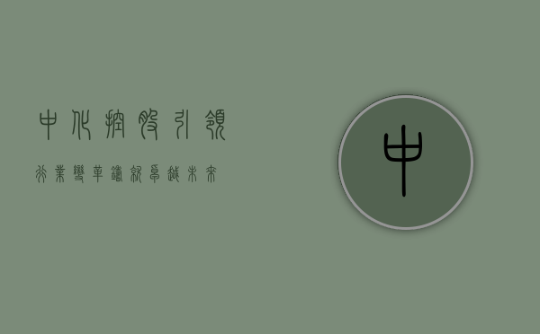 中化控股，引领行业变革，铸就卓越未来