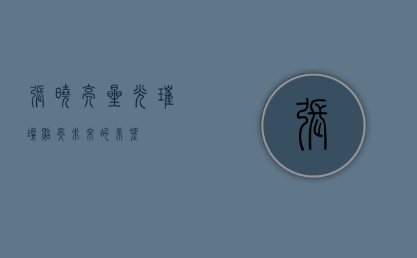 张晓亮，星光璀璨，照亮未来的希望