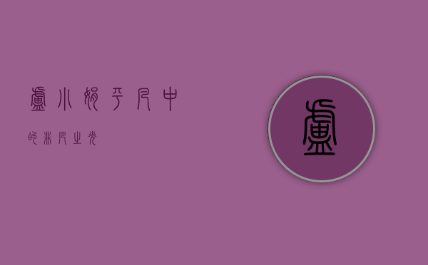 卢小娟，平凡中的非凡之光