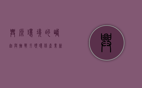 兴源环境的崛起与挑战,引领环保产业新发展