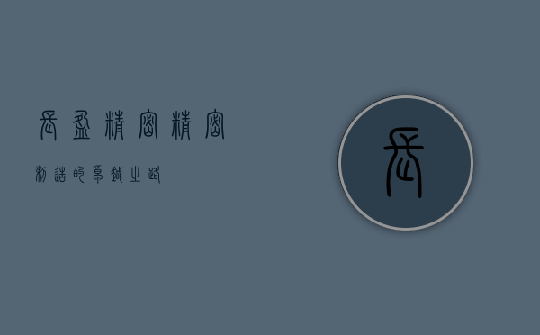 长盈精密，精密制造的卓越之路