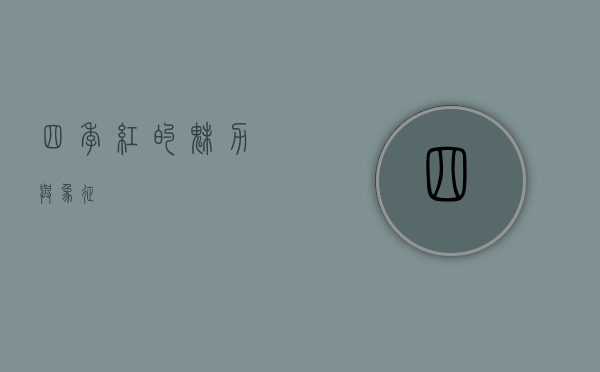 四季红的魅力与象征