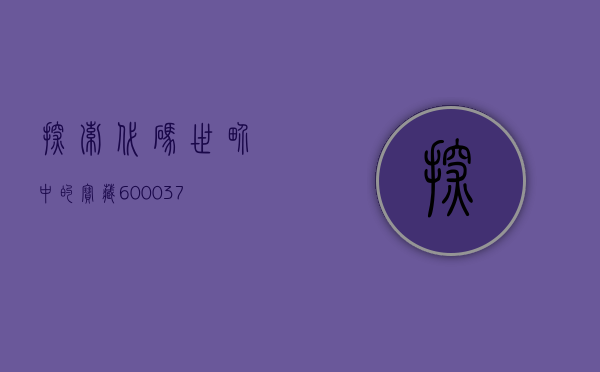 探索代码世界中的宝藏，600037