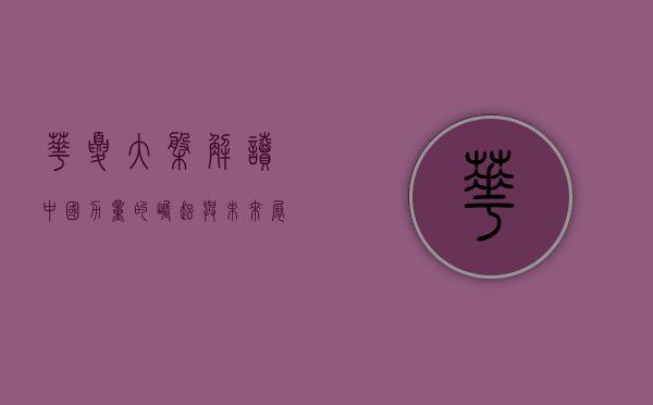 华夏大盘，解读中国力量的崛起与未来展望