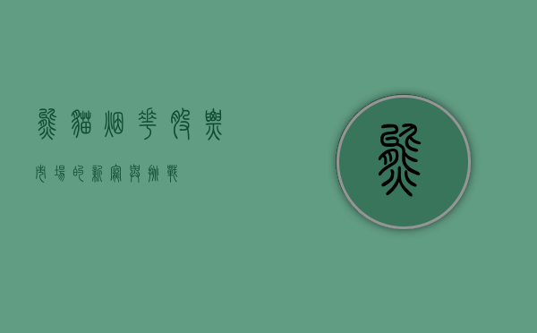 熊猫烟花股票,市场的新宠与挑战