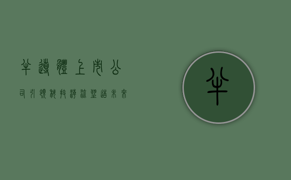 半导体上市公司，引领科技潮流，展现独特魅力