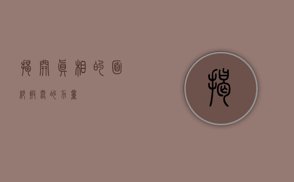 揭开真相的面纱，披露的力量