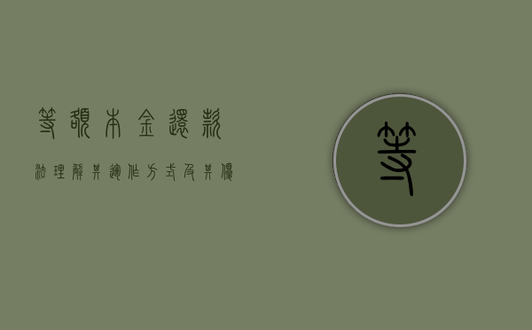 等额本金还款法，理解其运作方式及其优势