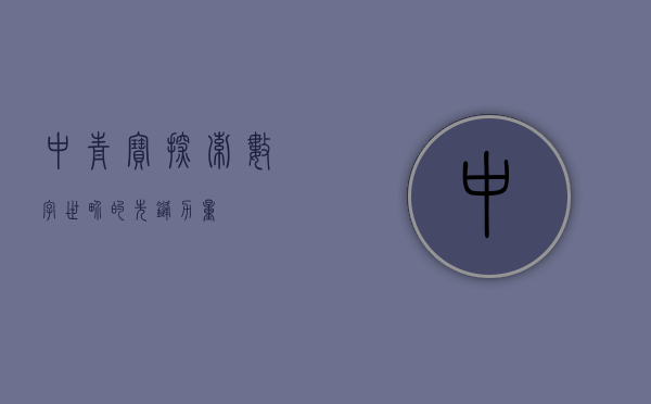 中青宝,探索数字世界的先锋力量