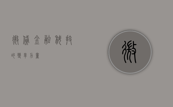 微贷，金融科技的变革力量