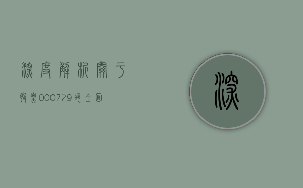深度解析,关于股票000729的全面解读