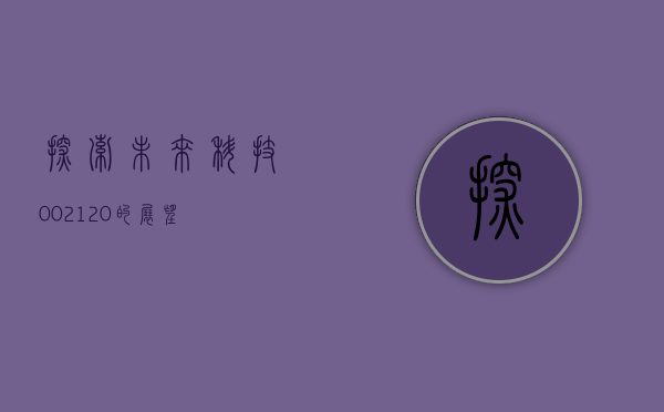 探索未来科技，002120的愿景与挑战